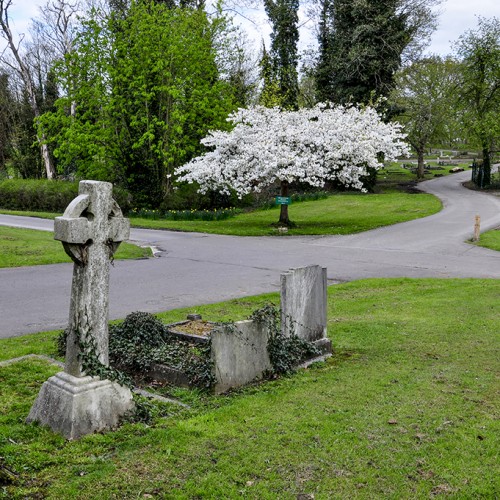 20160419_Enfield_-Lavender-Hill-Cemetery_Reign-of-peace