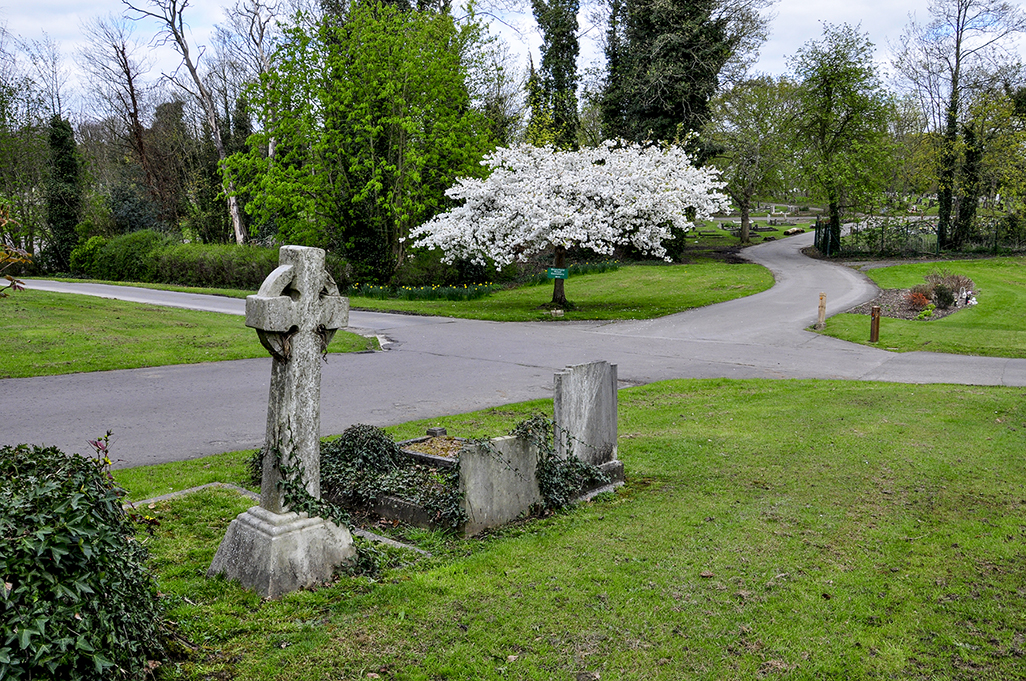 20160419_Enfield_-Lavender-Hill-Cemetery_Reign-of-peace