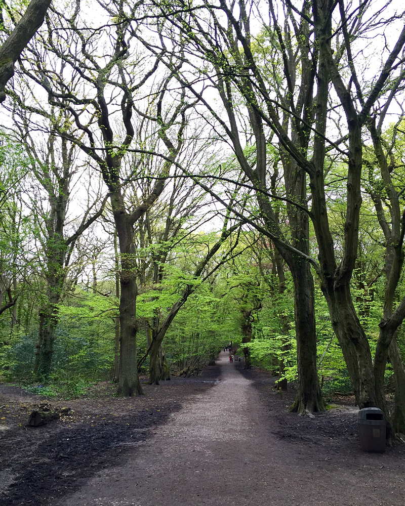 20160424_Haringey_Woods_Keith-Houghton