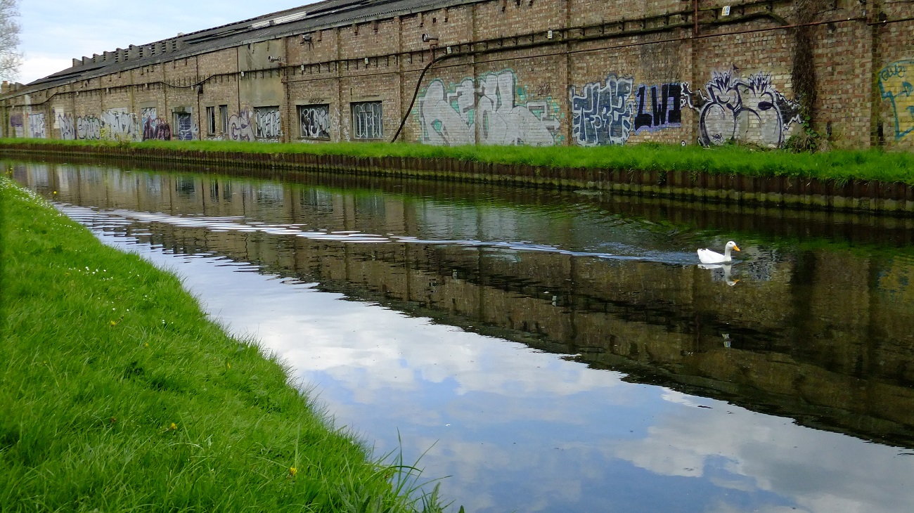 20160425_Enfield_New-River-Oakthorpe_New-River-between-the-Kings-Arms-Bridge-and-Oakthorpe-Road