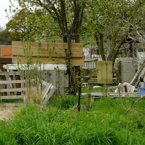 20160425_Enfield_Weir-Hall-Allotments_Allopments-Architecture