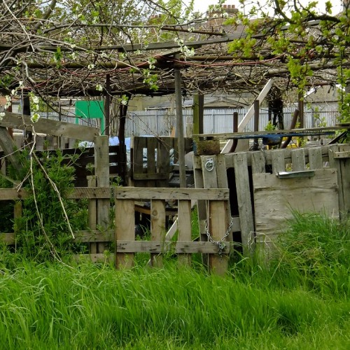 20160425_Enfield_Weir-Hall-Allotments_Structure-of-Allopments