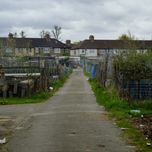 20160425_Enfield_Weir-Hall-Allotments_View-of-Allotments