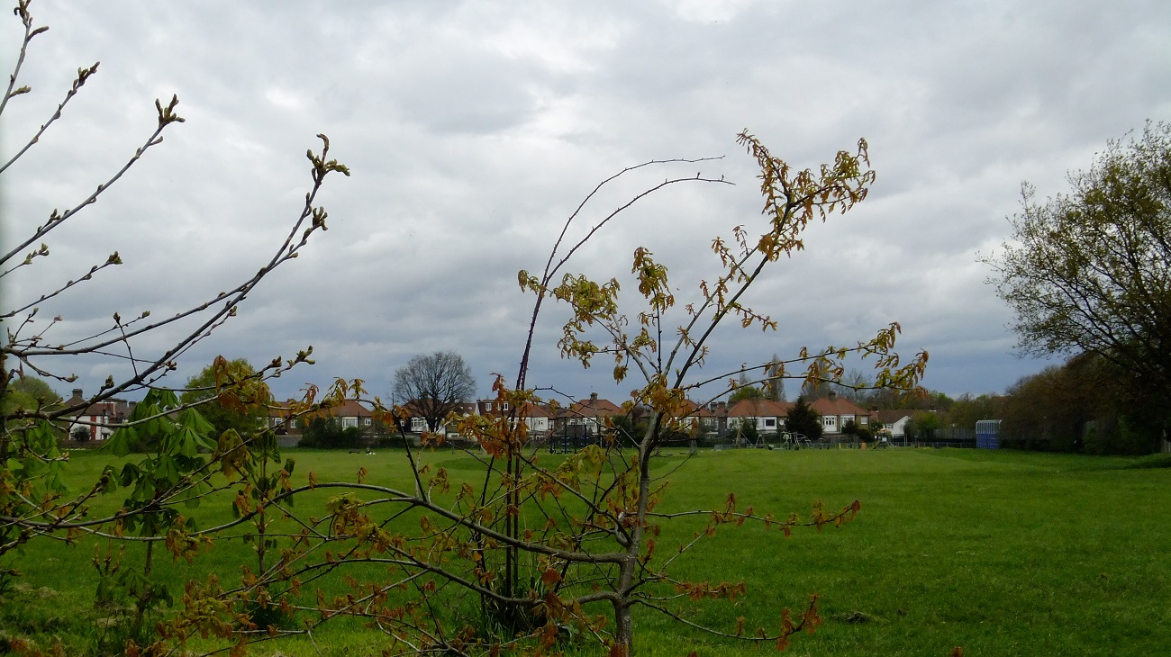 20160425_Enfield_Weir-Hall-Reacreation-Ground_Across-the-Grounds