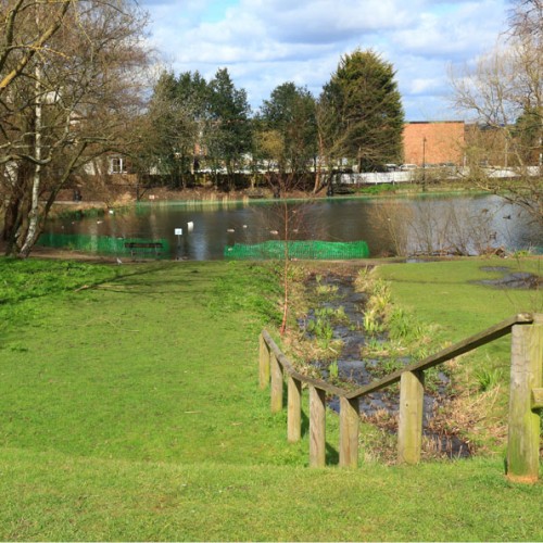 Chislehurst-Ponds-3