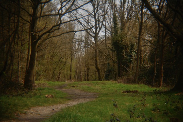 Fryent-Country-Park-As-Seen-Through-A-Pinhole-Lens