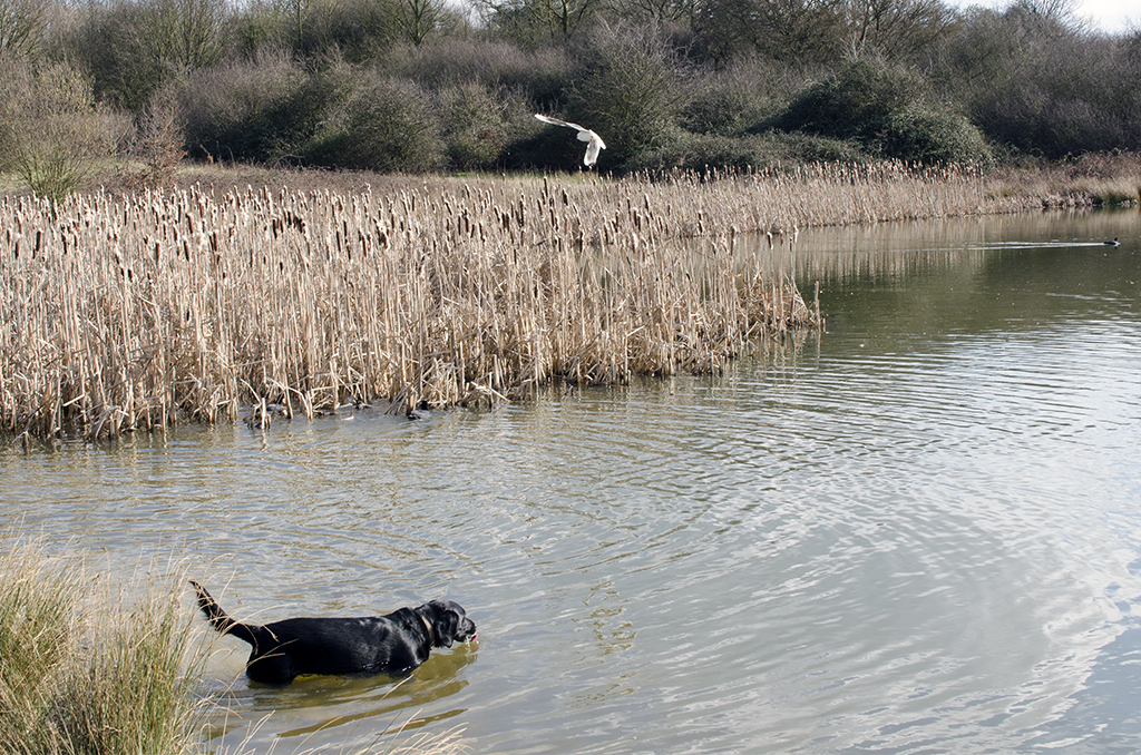 Havering_Bedfords-Park_Cooling-Off