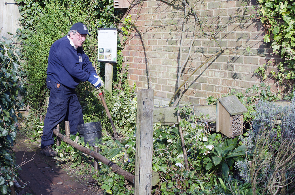 Havering_Bedfords-Park_Gardener-at-Work