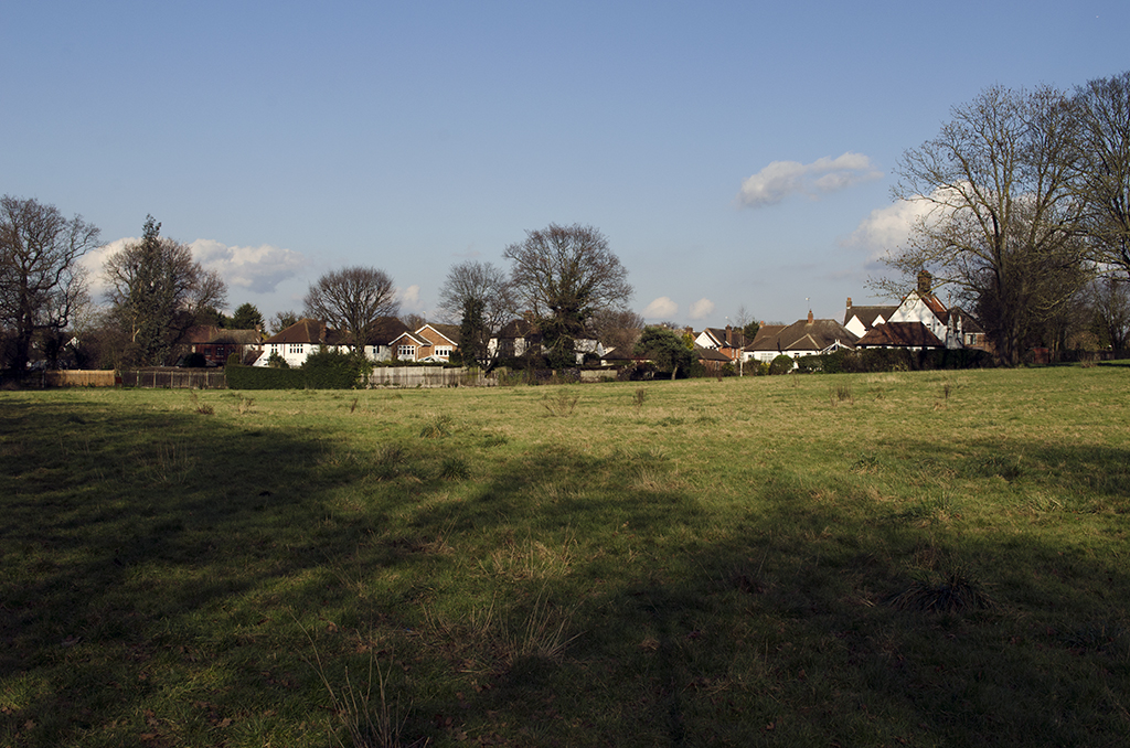 Havering_Raphael-Park_View-towards-Gidea-Park-Copy