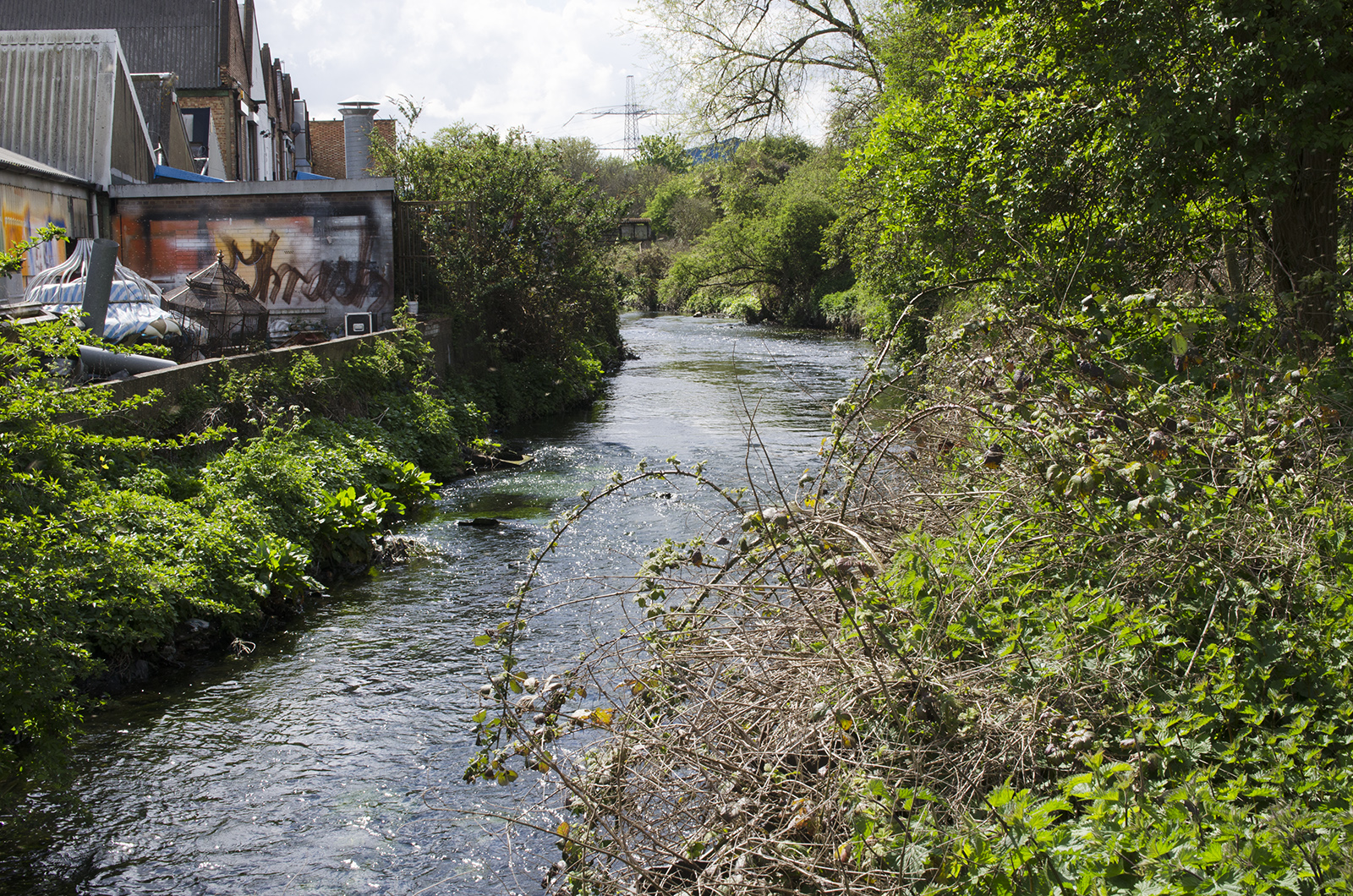 2016-04-27-Merton-right-Wandsworth-left_Spring_Landscape_Wandle