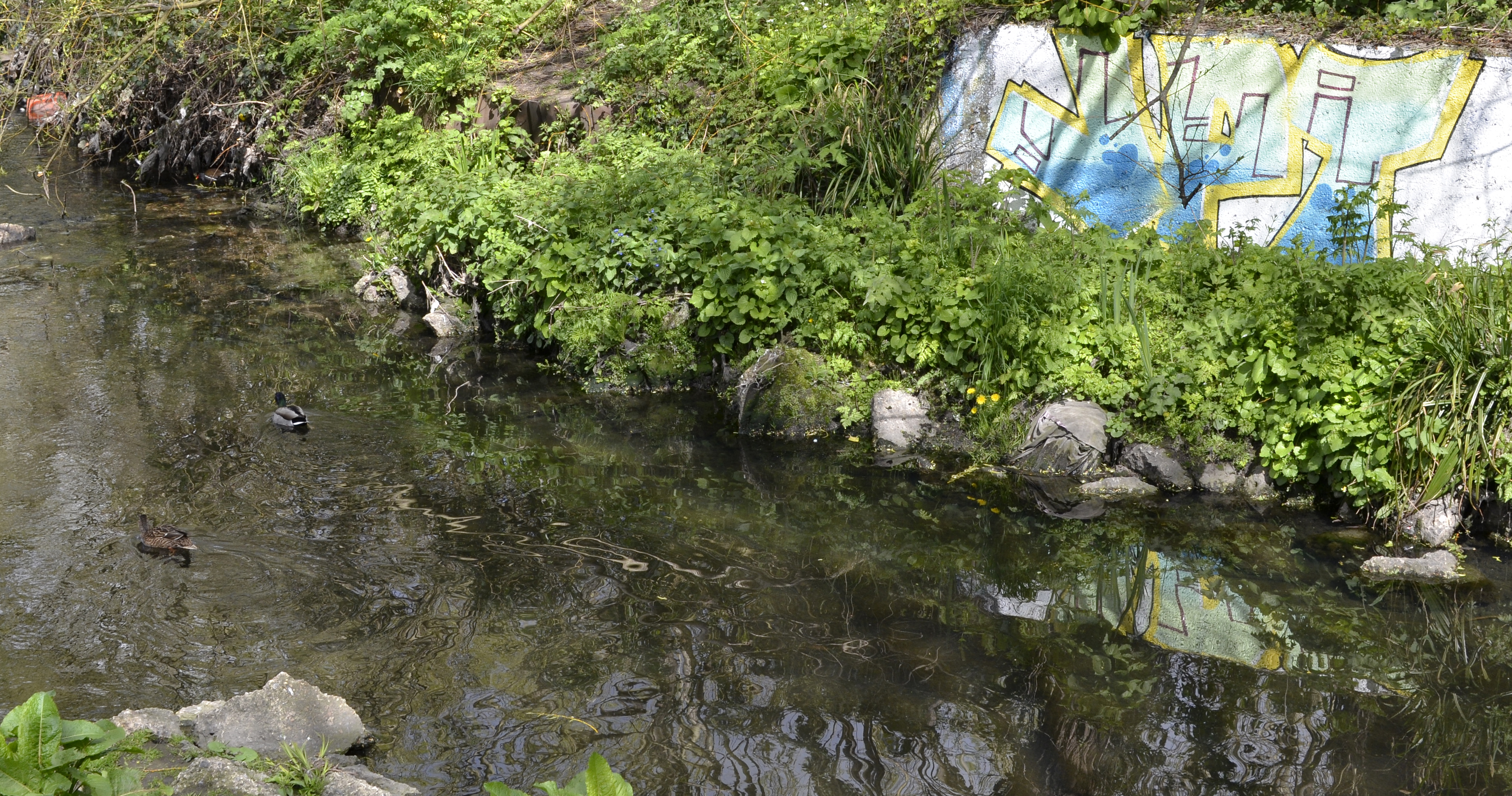 2016-04-27-Merton_Beyond-Plough-Lane_Graffiti-Ducks-Reflections