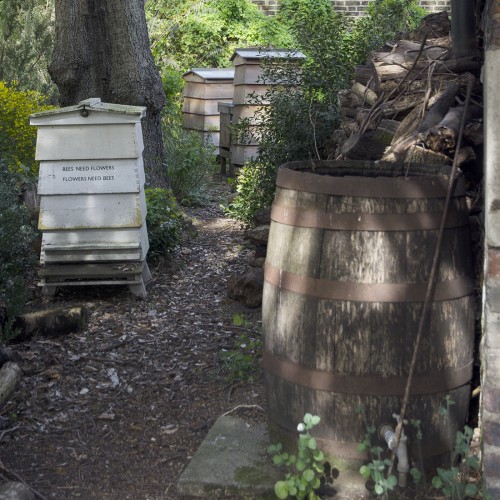 2016-05-05-Kensington-and-Chelsea_Chelsea-Physic-Garden_Spring_Bee-Hives