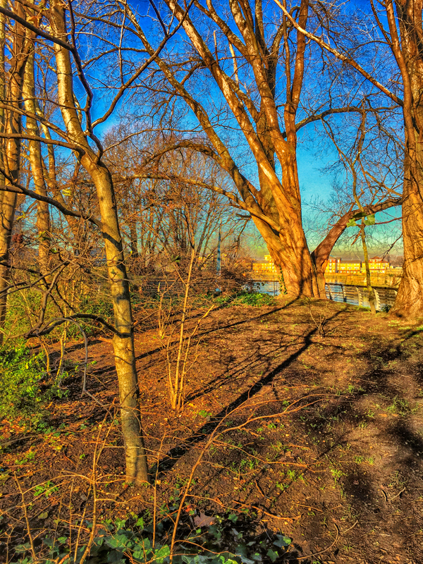 20160120_Wandsworth_The-Spit-Wetland-Terrace