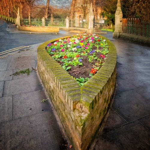 20160123_Hammersmith-Fulham_Fulham-Palace-Road-Cemetery_Flower-Box