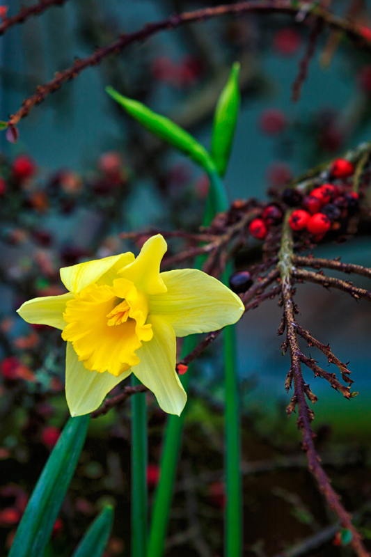 20160124_Wandsworth_Riverside-Quarter_Planter-Box