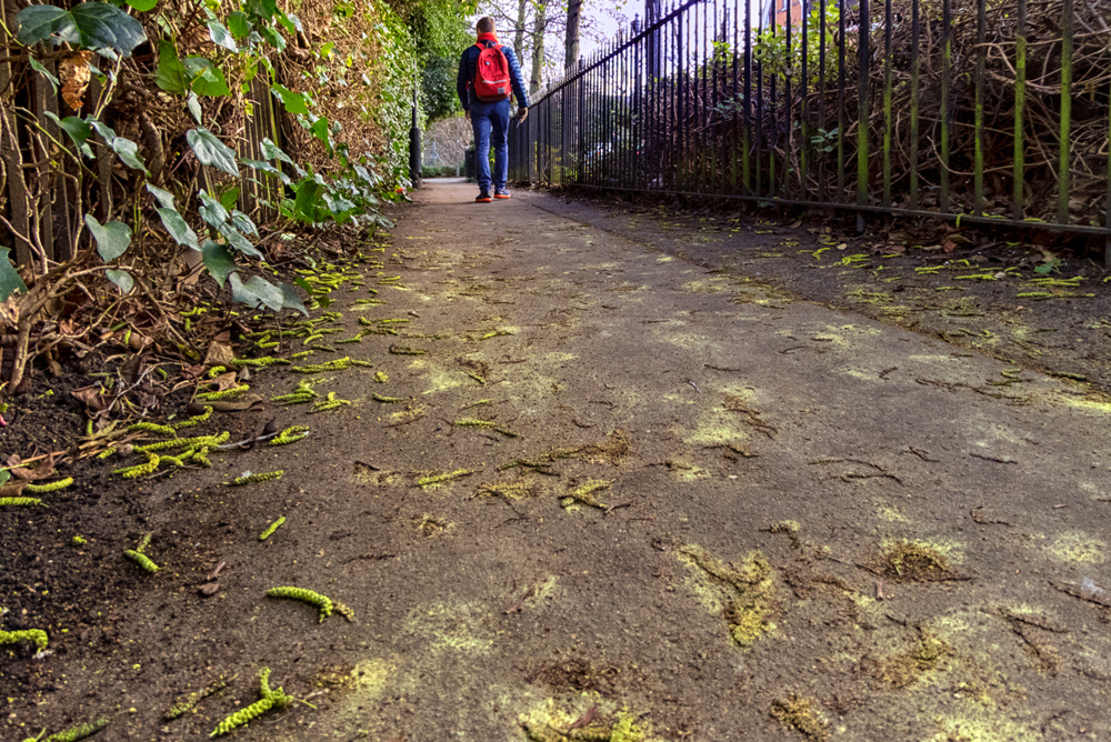 20160217_Wandsworth_Clockhouse-Place-SW15_Alleyway