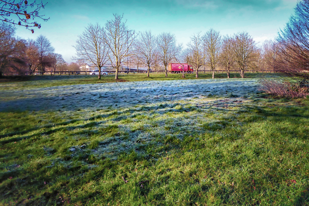 20160225_Ealing_Perivale-Lane-Playing-Fields-UB6-8TL_Frost