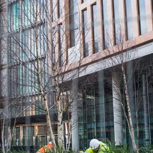 20160307_Camden_Planting-up-the-new-public-space-on-Midland-Road