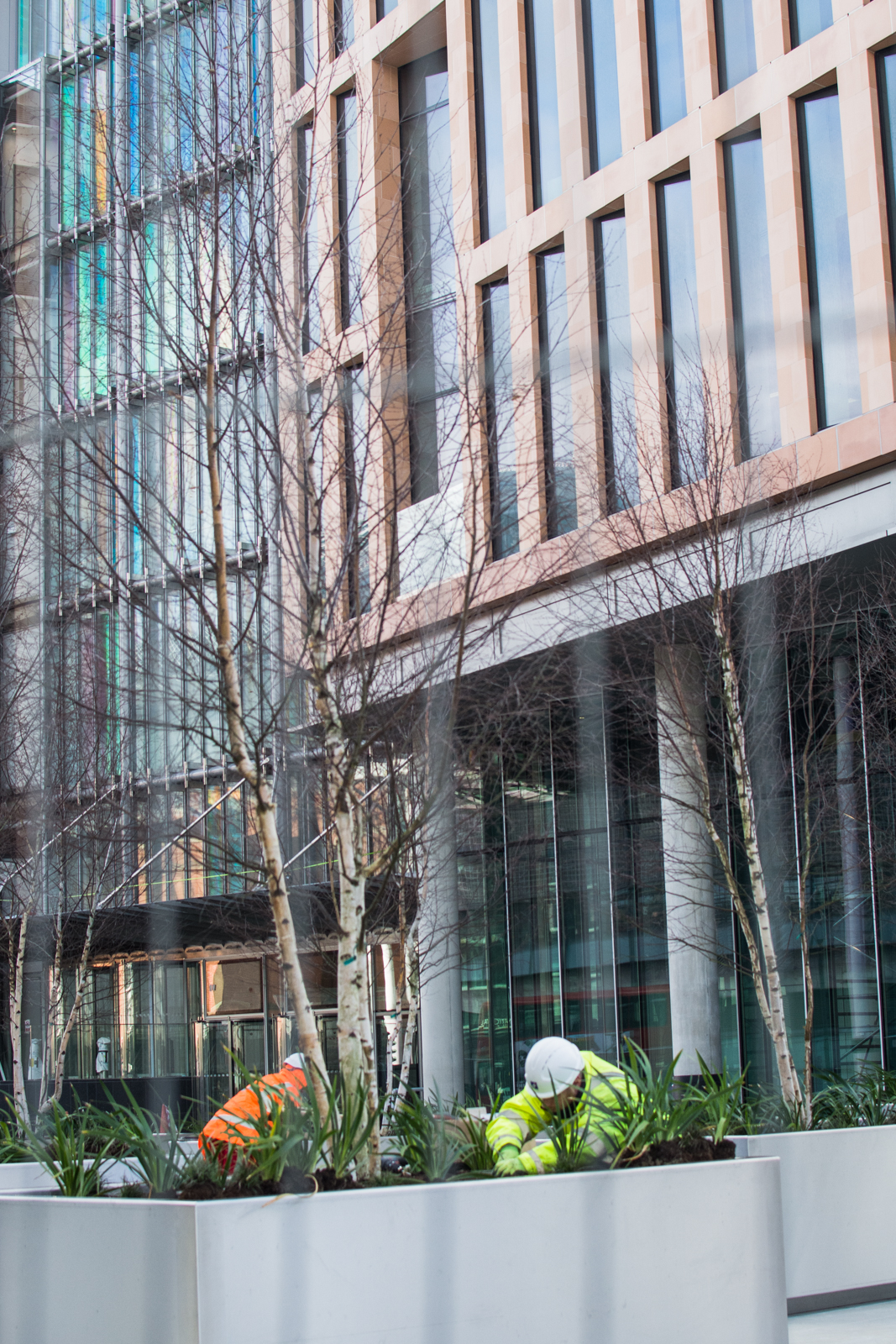 20160307_Camden_Planting-up-the-new-public-space-on-Midland-Road