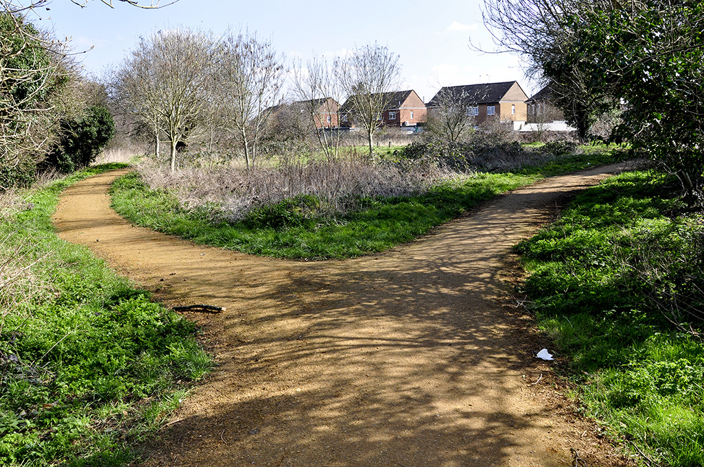 20160322_Ealing_Countryside-Park-Northolt-and-Greenford-_Path-to-chose