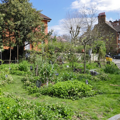 20160419_Haringey_Priory-Common-Orchard-Community-Garden_Open-to-everyone-to-forage