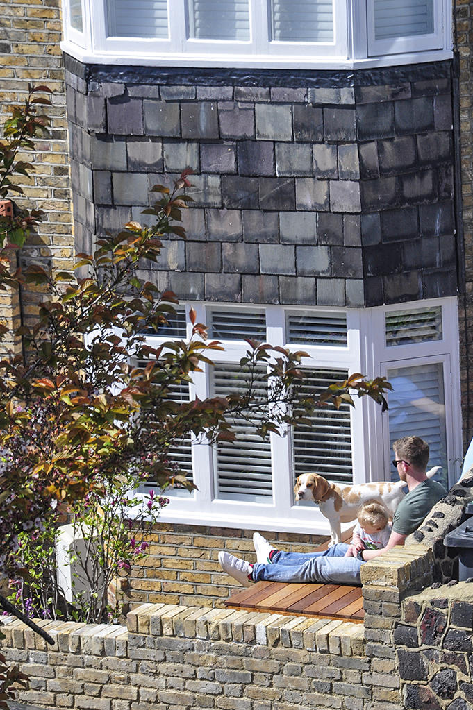 20160430_Haringey_Barnard-Hill_Basking-in-the-sun