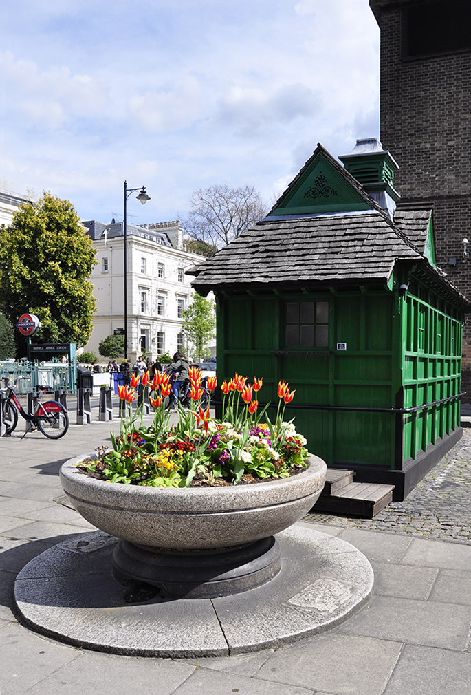 20160430_Westminster_Warwick-Avenue_Splash-of-colours