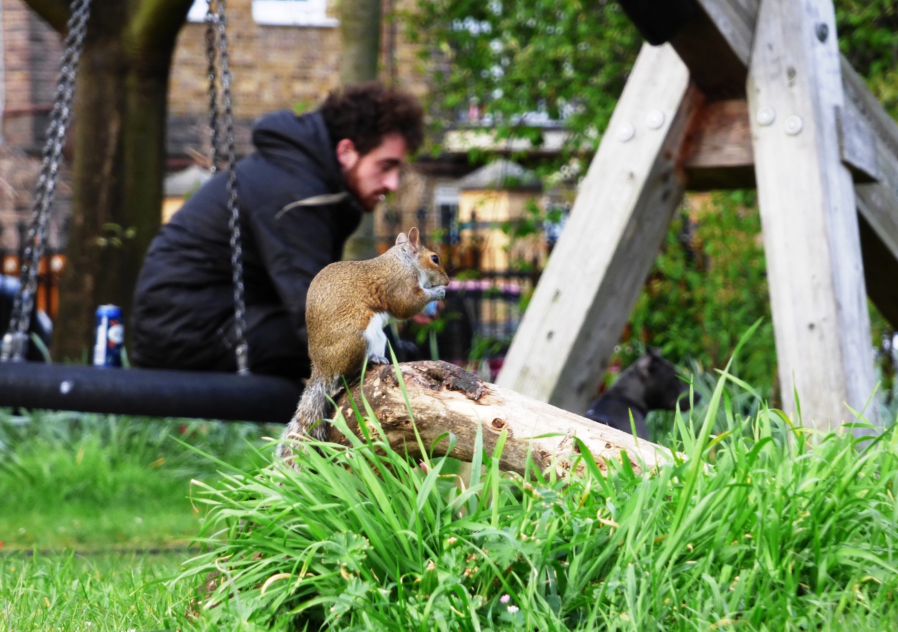 20160502_Tower-Hamlets_Bethnal-Green-Gardens_Just-the-three-of-us