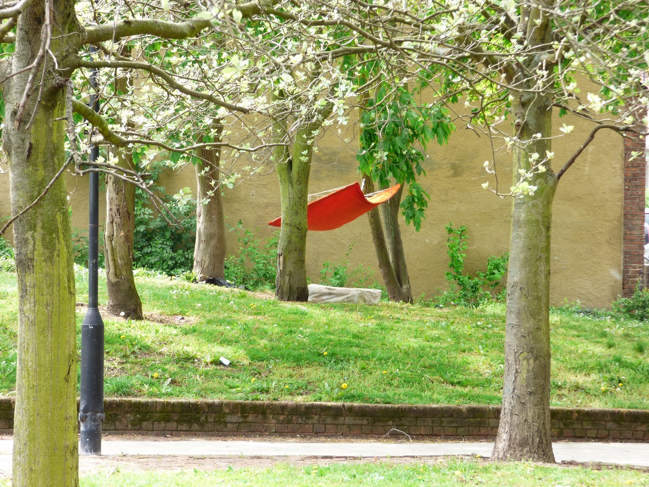 20160509_Haringey_Paignton-Park_Random-Hammock