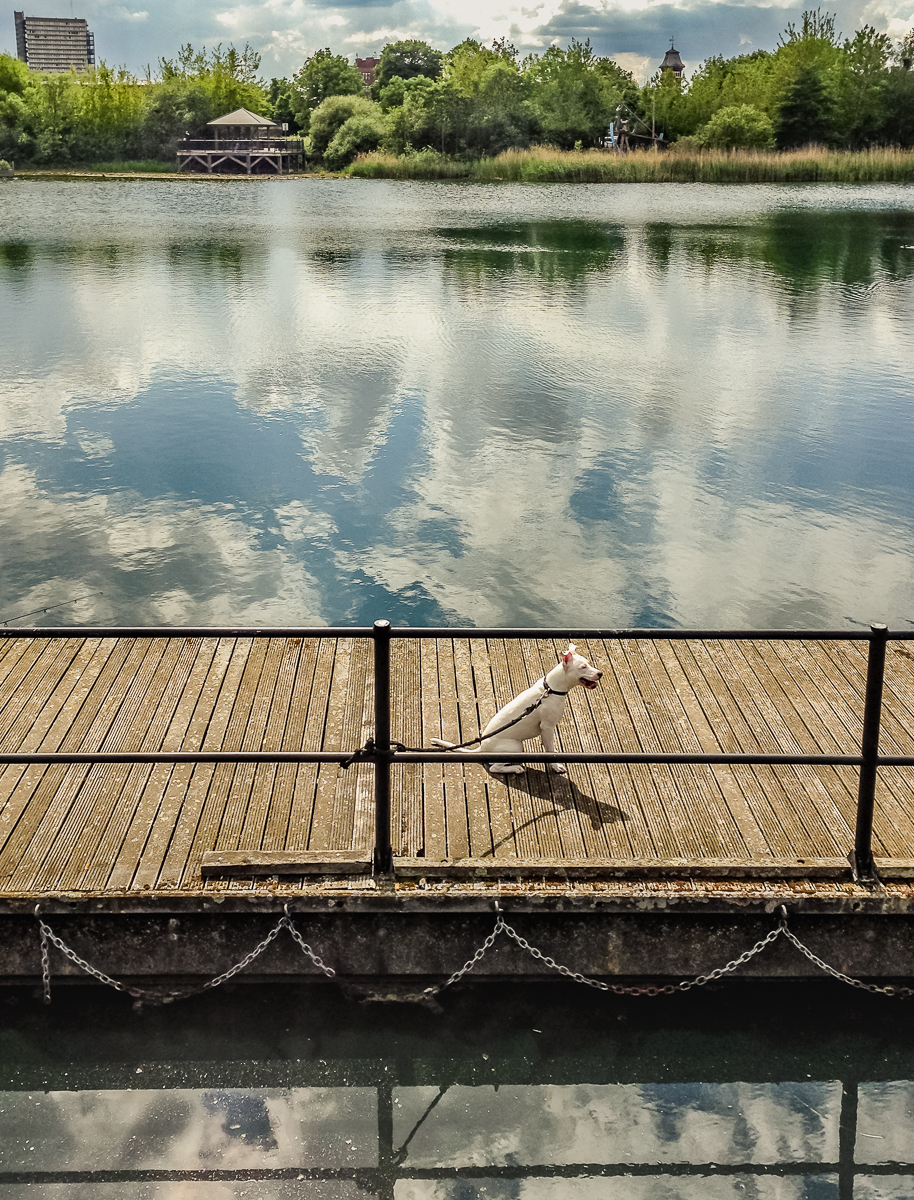 20160523_Southwark_Canada-Water_Watching-my-master