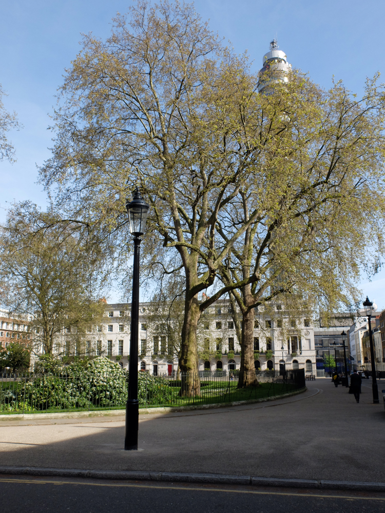 Fitzroy-Square