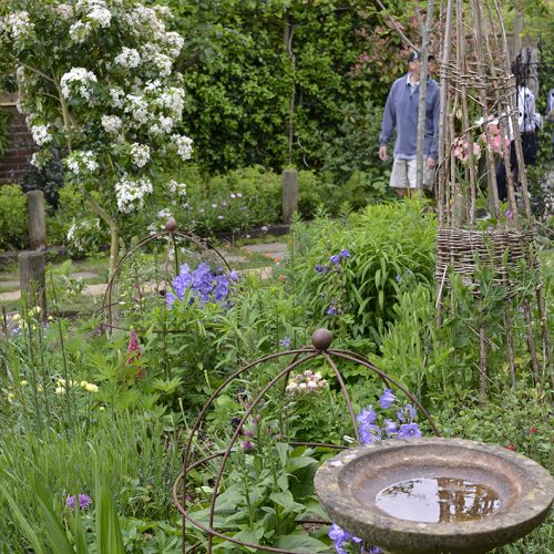 2016-05-22-Petersham-Open-Gardens-Weekend_Arreton-Cottage_Detail-of-Fliower-Beds