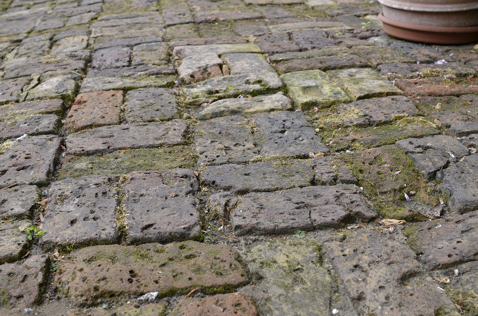 2016-05-22-Petersham-Open-Gardens_Richmond_Wonderful-Old-Bricked-Terrace_Details