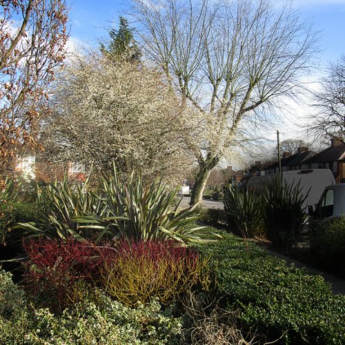 20160211_Enfield_The-Vale-tiny-green-space_0766