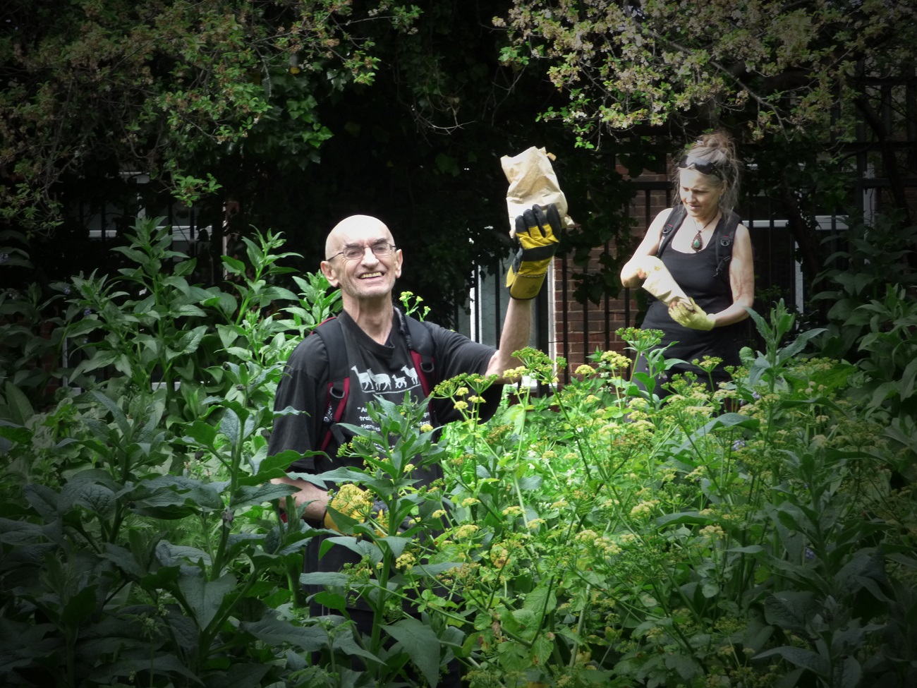 20160505_Tower-Hamlets_Bethnal-Green-Nature-Reserve-Phytology_Picking-Herbs