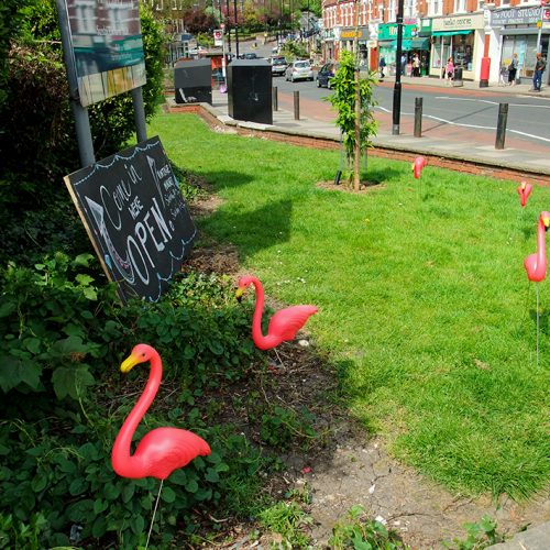20160507_Haringey_-Park-Road_Flamingos-are-coming