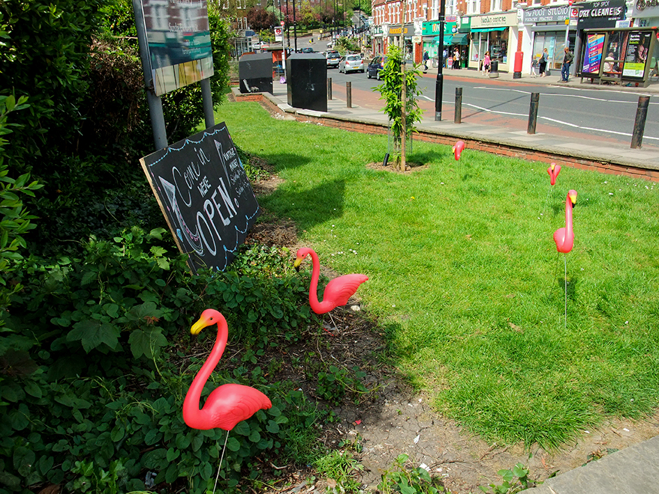 20160507_Haringey_-Park-Road_Flamingos-are-coming