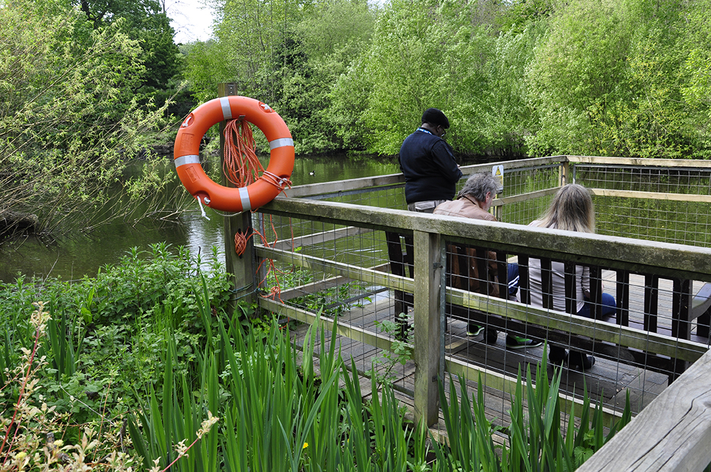 20160509_Camden_Waterlow-Park-_Lake