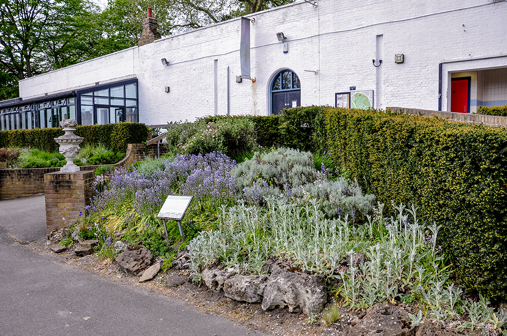 20160509_Camden_Waterlow-Park_Waterlow-Park-Rockery