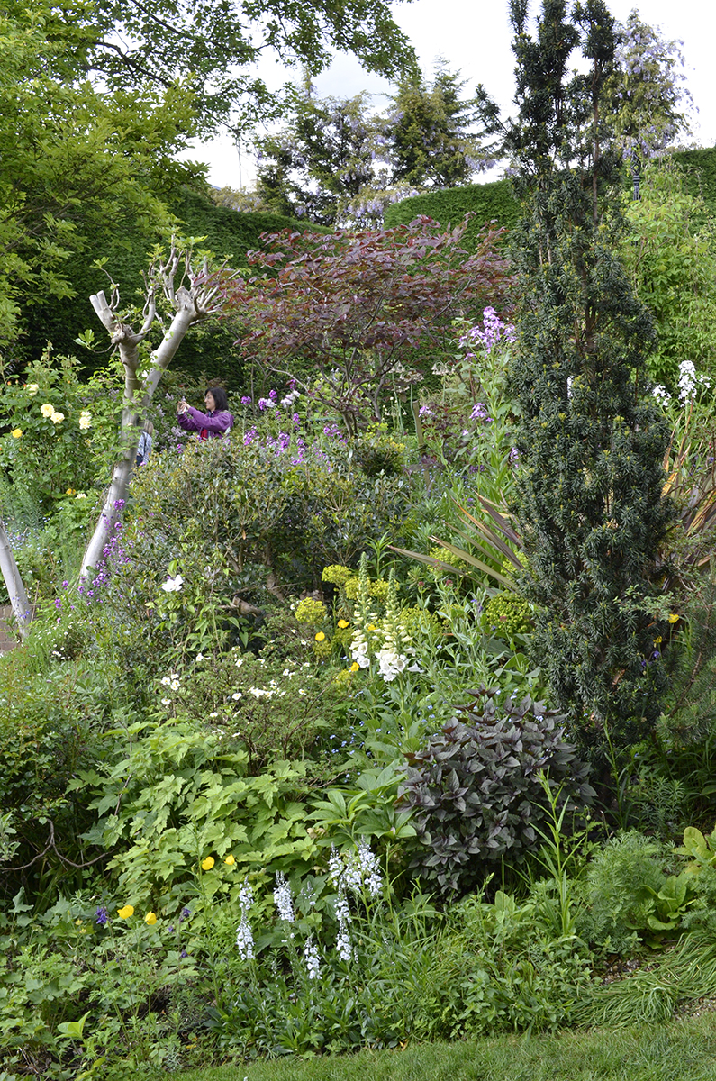 20160522-Richmond_Petersham_12-Cedar-Heights_Open-Gardens-Weekend_Lovely-Floral-Terrace