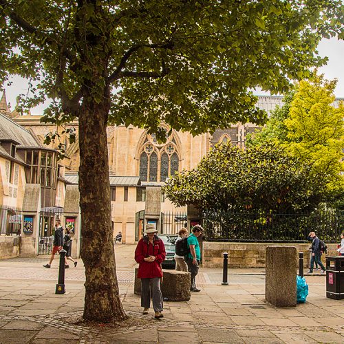 20160604_Southwark_greenery-outside-Southwark-Cathedral_3561