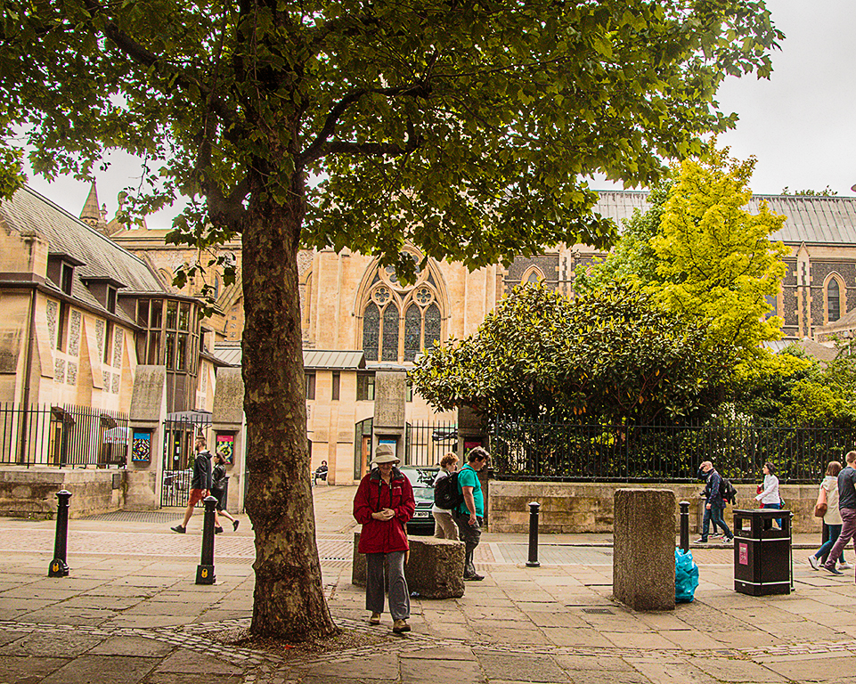 20160604_Southwark_greenery-outside-Southwark-Cathedral_3561