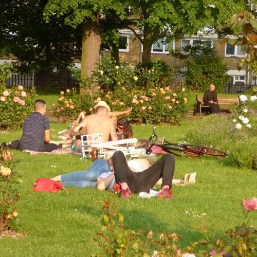 20160605_Hackney_De-Beauvoir-Square-Gardens_Hanging-in-the-Rose-Garden