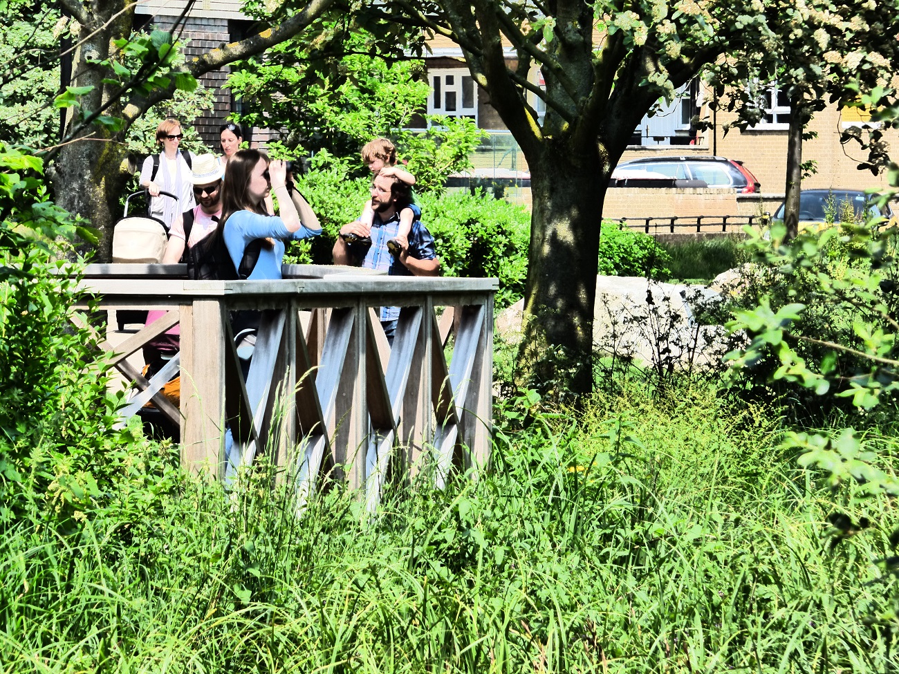 20160605_Hackney_Woodberry-Wetlands_Visitors