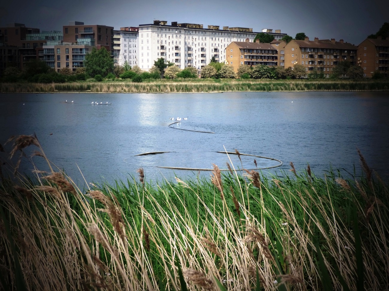 20160605_Hackney_Woodberry-Wetlands_Woodberry-Landscape