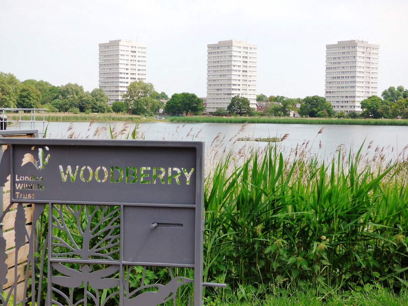 20160605_Hackney_Woodberry-Wetlands_Woodberry