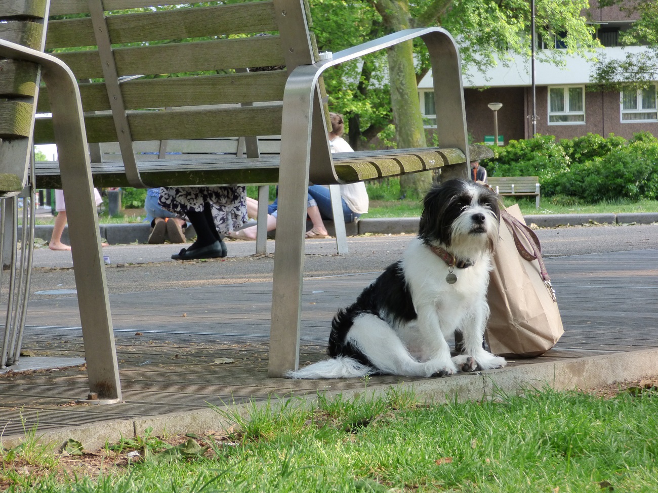 20160605_Islington_Newington-Green_The-Guard-Dog