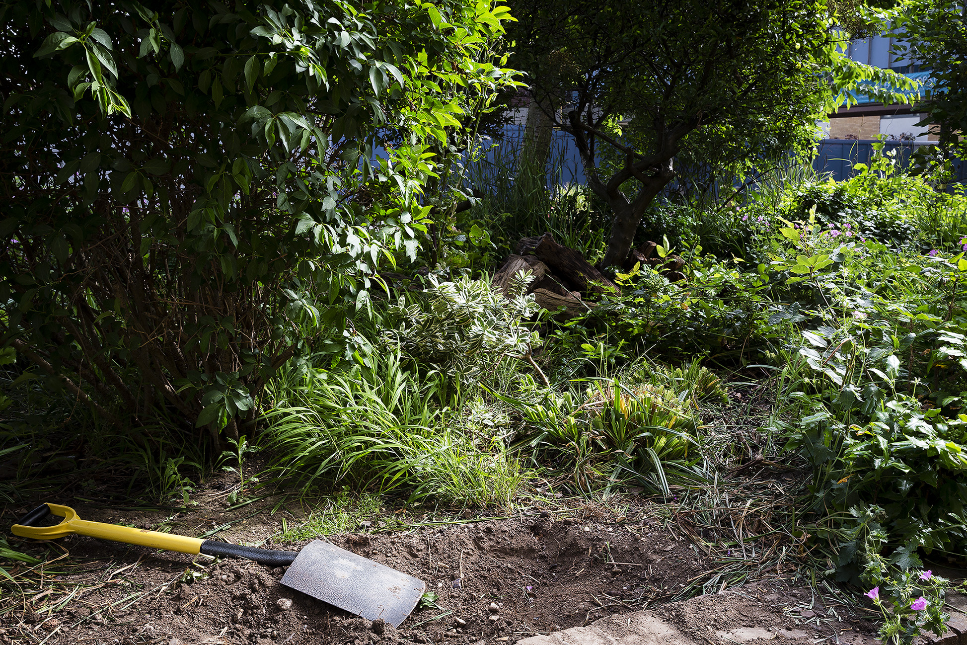 20160611_Southwark_Drummond-Growing_Gardening