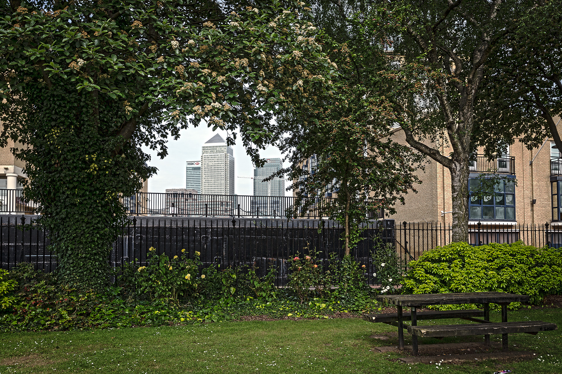 20160611_Southwark_Pearsons-Park_Landscape