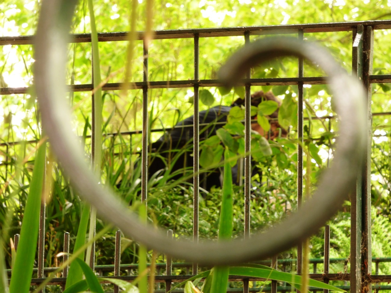 20160613_Tower-Hamlets_Boundary-Gardens-Arnold-Circus_Hiding-Place